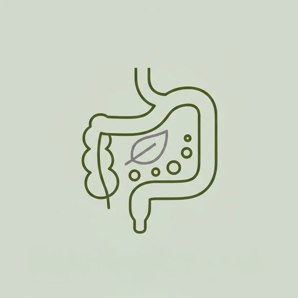 Digestive Health