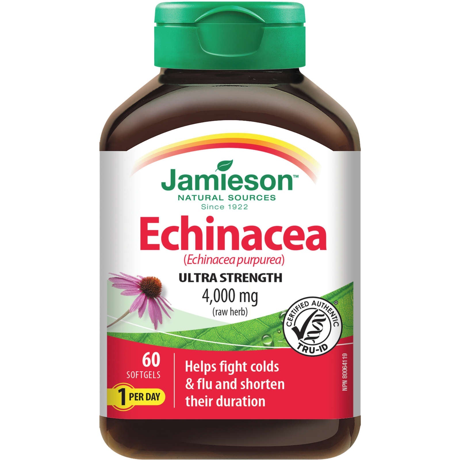 Echinacea High Potency 4,000 mg