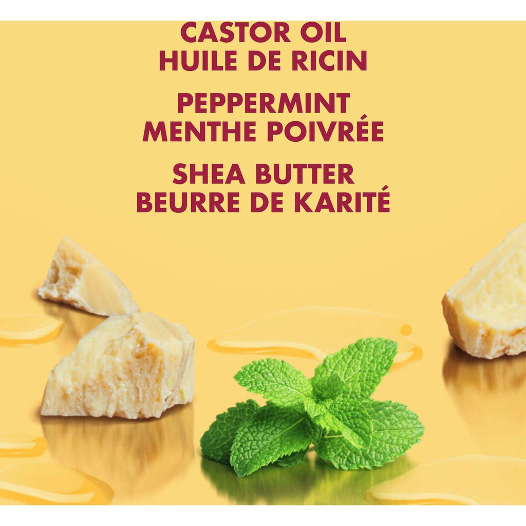 Strengthen & Restore Leave-in Conditioner for dry hair Jamaican Black Castor Oil with Shea Butter, Peppermint and Apple Cider Vinegar 340 ml
