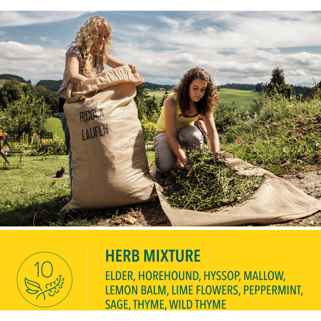 Mountain Herb No Sugar Added Family Bag Cough Suppressant Throat Lozenges