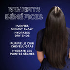 Magnetic Charcoal Purifying Conditioner for Greasy Scalp, Hydrates Dry Ends for Up to 48-Hours, with Charcoal and Nigella Flower Oil