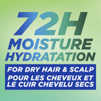 Fructis Pure Moisture Hydrating Shampoo, for 72 hours of moisture for Dry Hair and Scalp, with Hyaluronic Acid and Cucumber Water