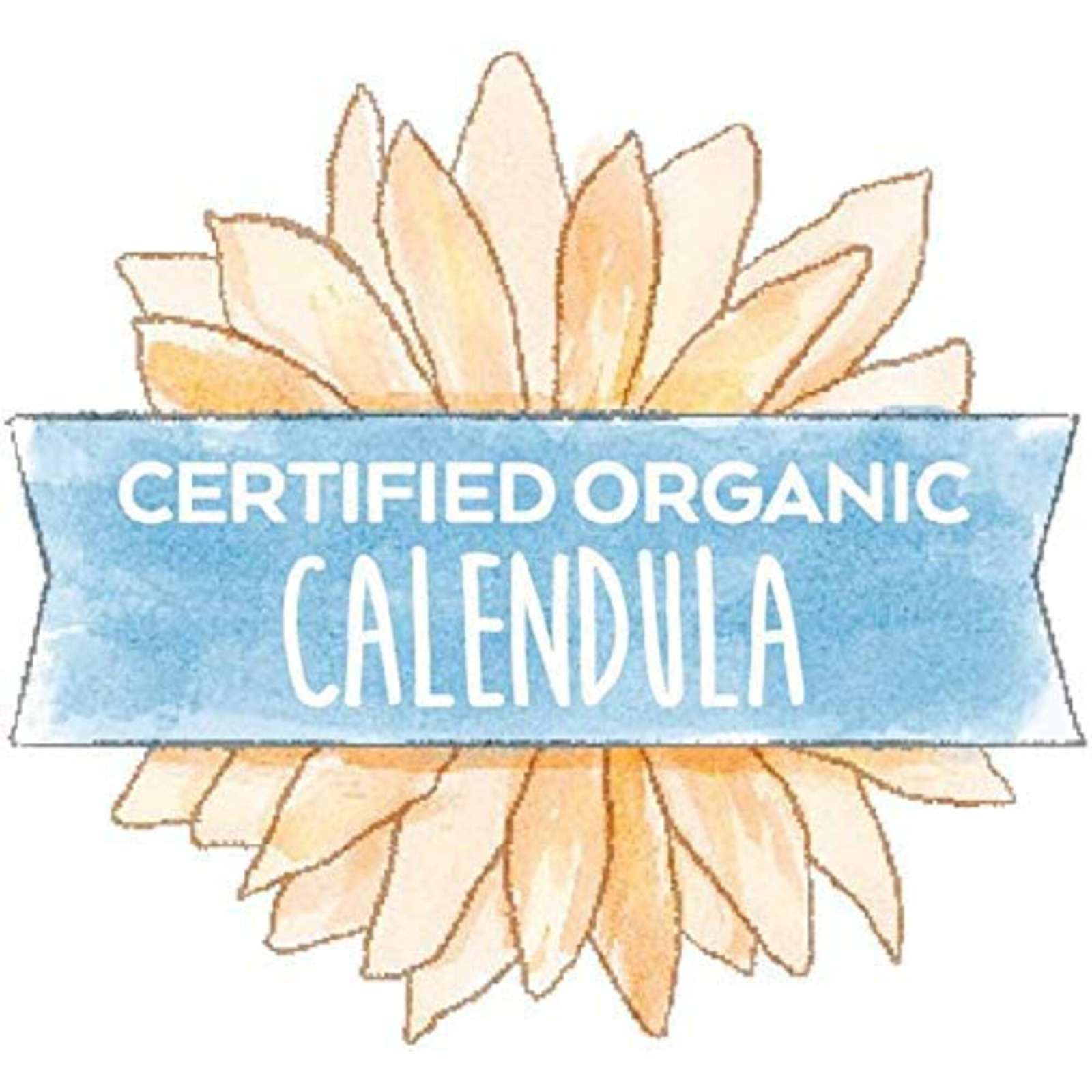 Diaper Rash Cream with Organic Calendula, Helps Treat and Heal Diaper Rash. Pediatriciation Recommended, 70g