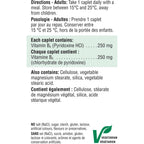 Vitamin B6 250 mg (Pyridoxine)