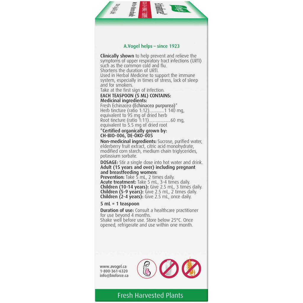 Echinaforce Extra Hot Drink Immune Support for Cold and Flu
