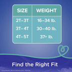 Pampers Easy Ups Training Underwear Boys Size 5 3T-4T 66 Count 