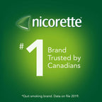 Nicotine Gum, 4 mg, Cinnamon Flavour