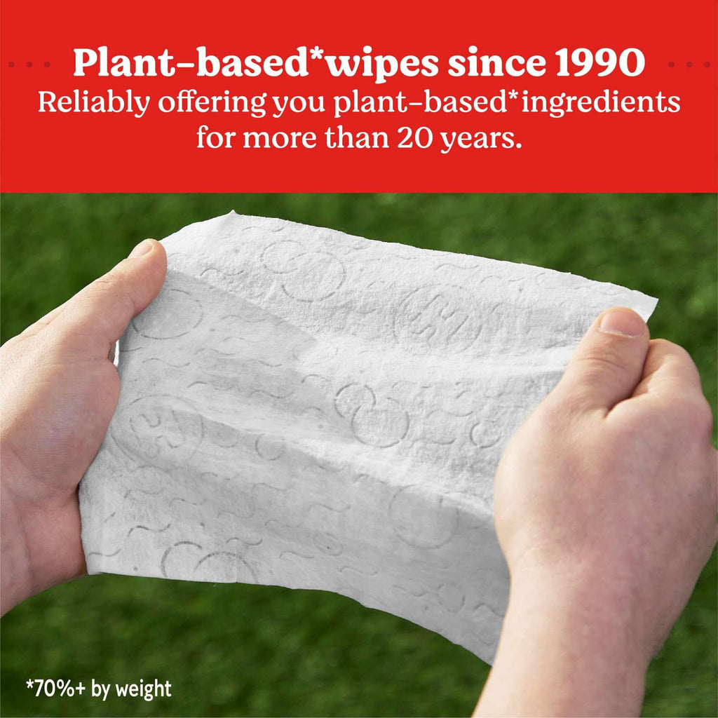 Simply Clean Unscented Baby Wipes, 3 Flip-Top Packs