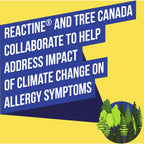 Reactine Rapid Dissolve Allergy Relief, Extra Strength, 48 Tablets