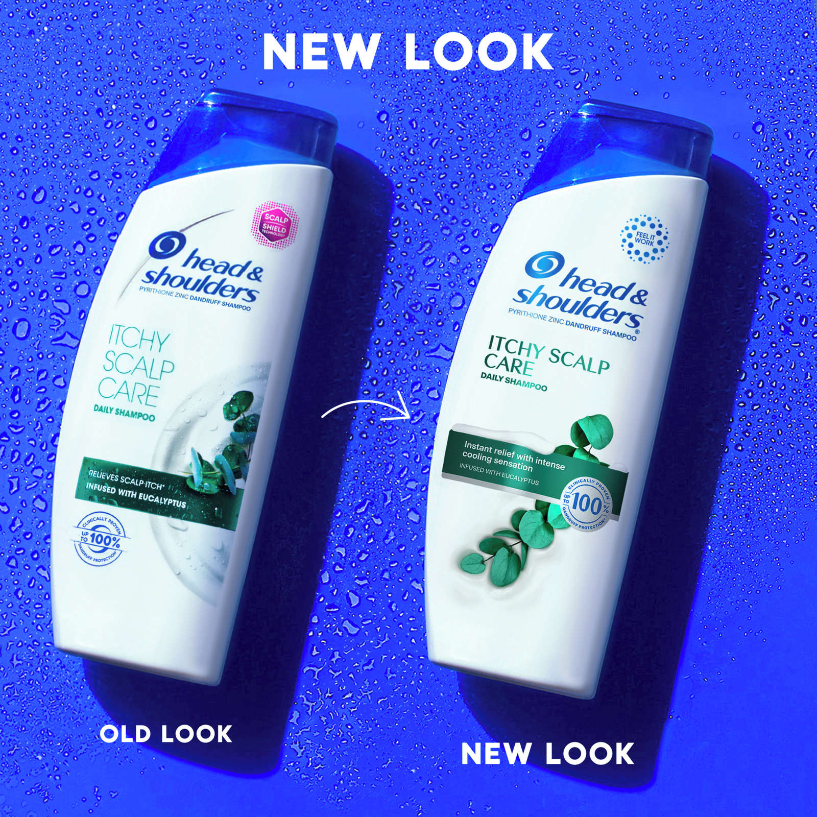 Itchy Scalp Shampoo