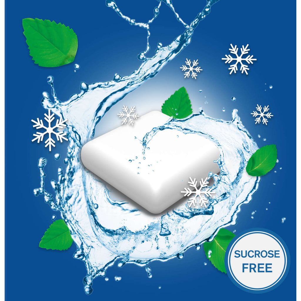 Nicotine Gum, Quit Smoking Aid, Extreme Chill, 2 mg