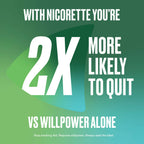 Nicotine Gum, 4 mg, Ice Mint Flavour