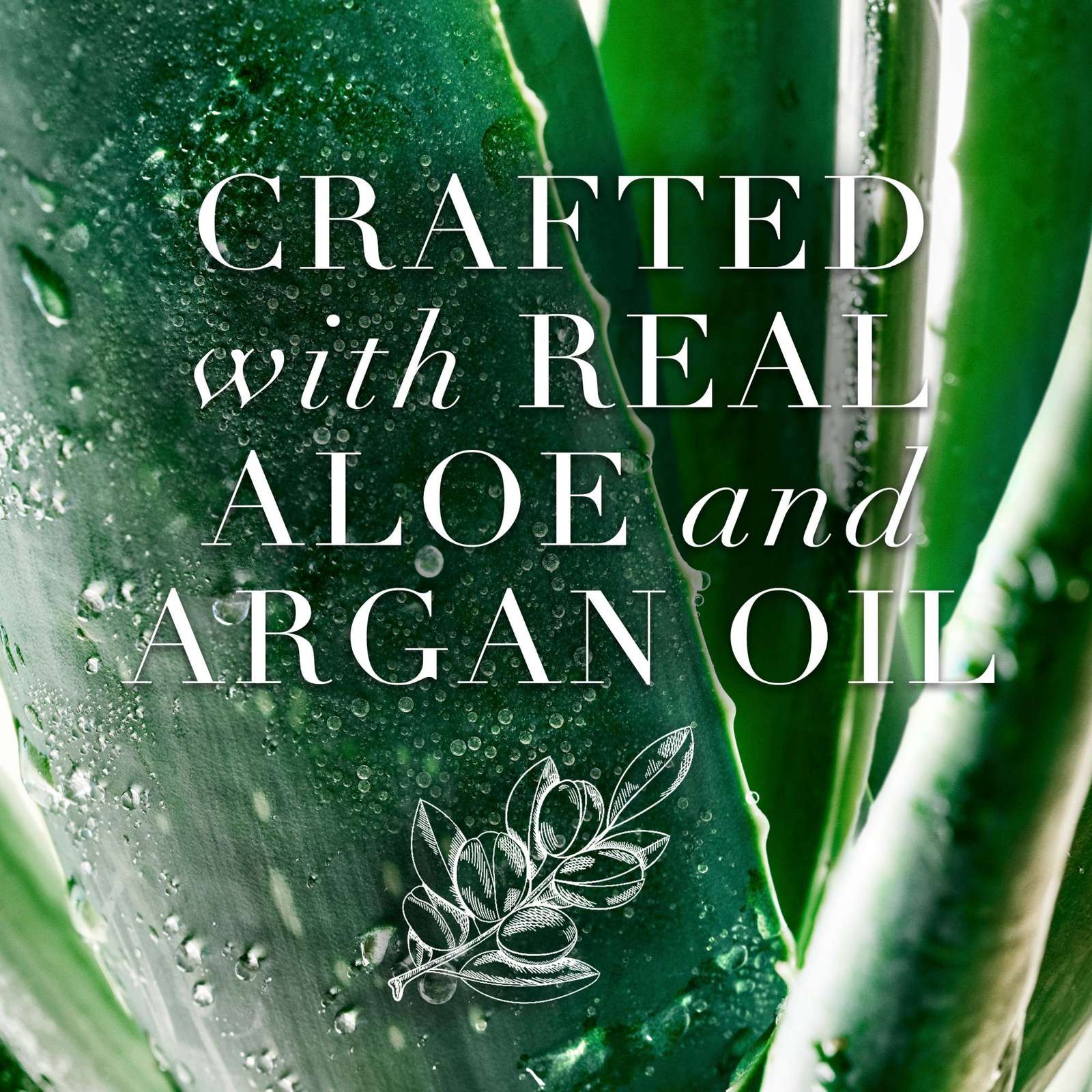 Herbal Essences bio:renew Argan Oil & Aloe Lightweight Hair Oil Mist — Repair, 118 mL
