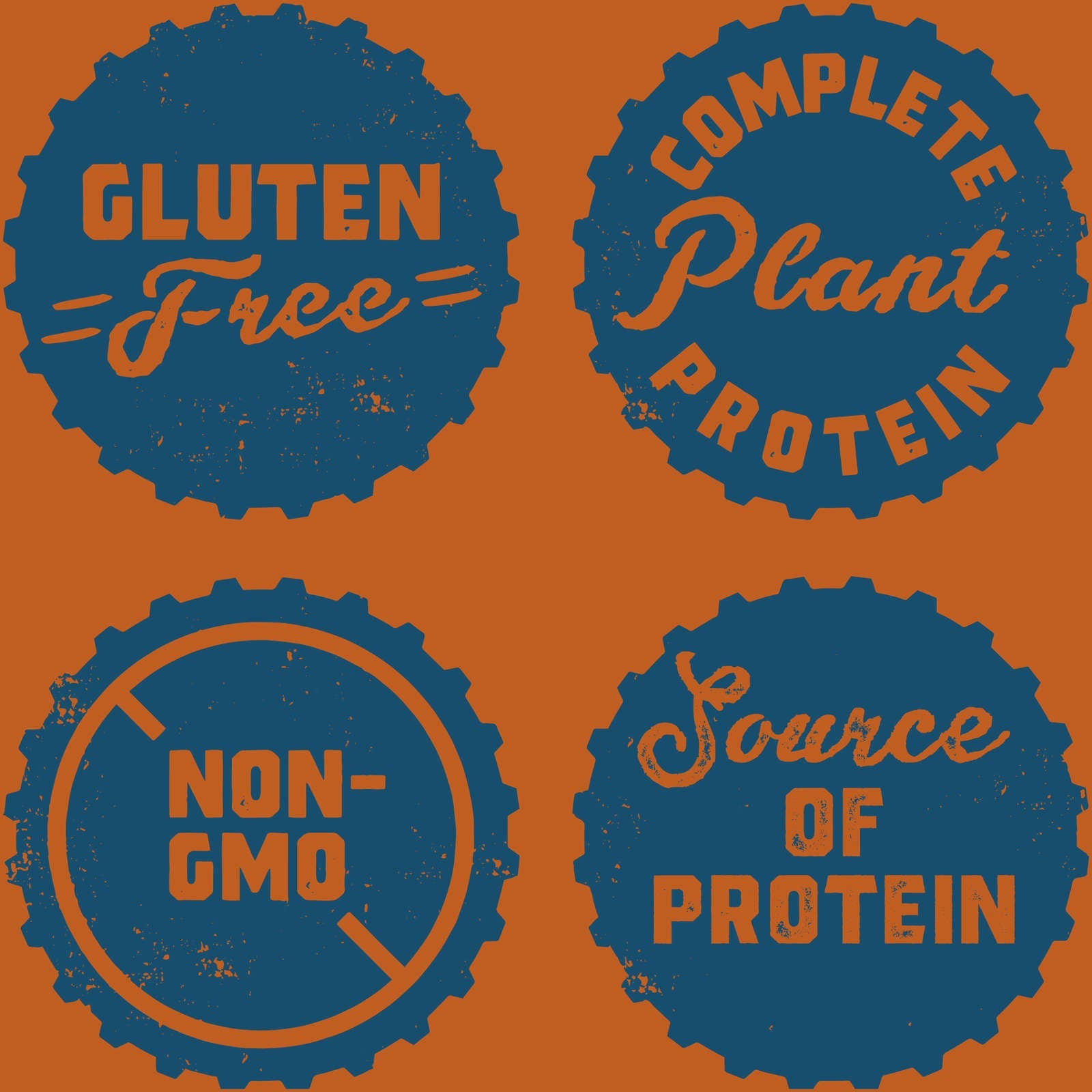 CLIF BUILDERS™  - Protein Bars - Chocolate Peanut Butter Flavour - (68 Gram Non-GMO Bars, 12 Count)