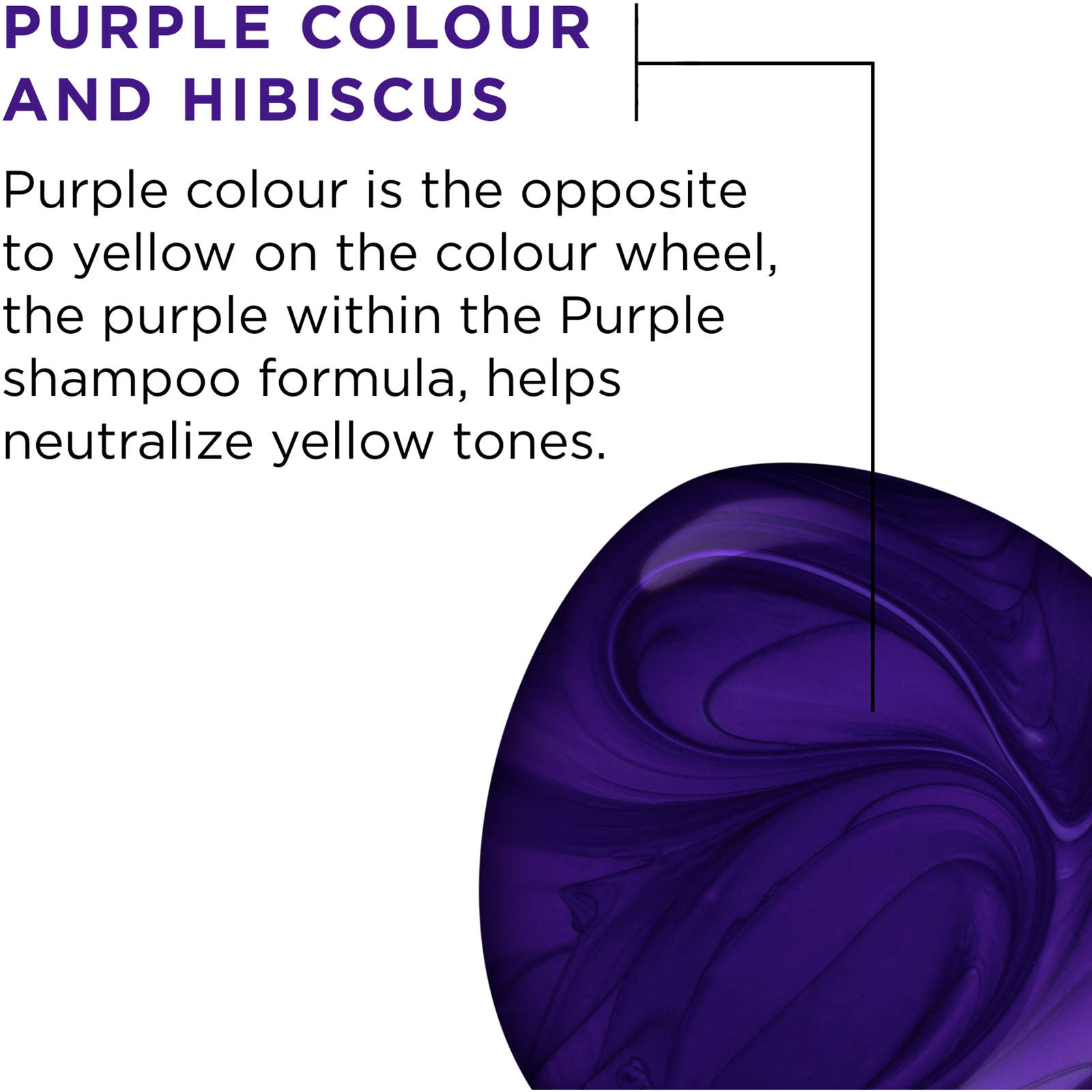 EverPure Brass Toning Purple Shampoo