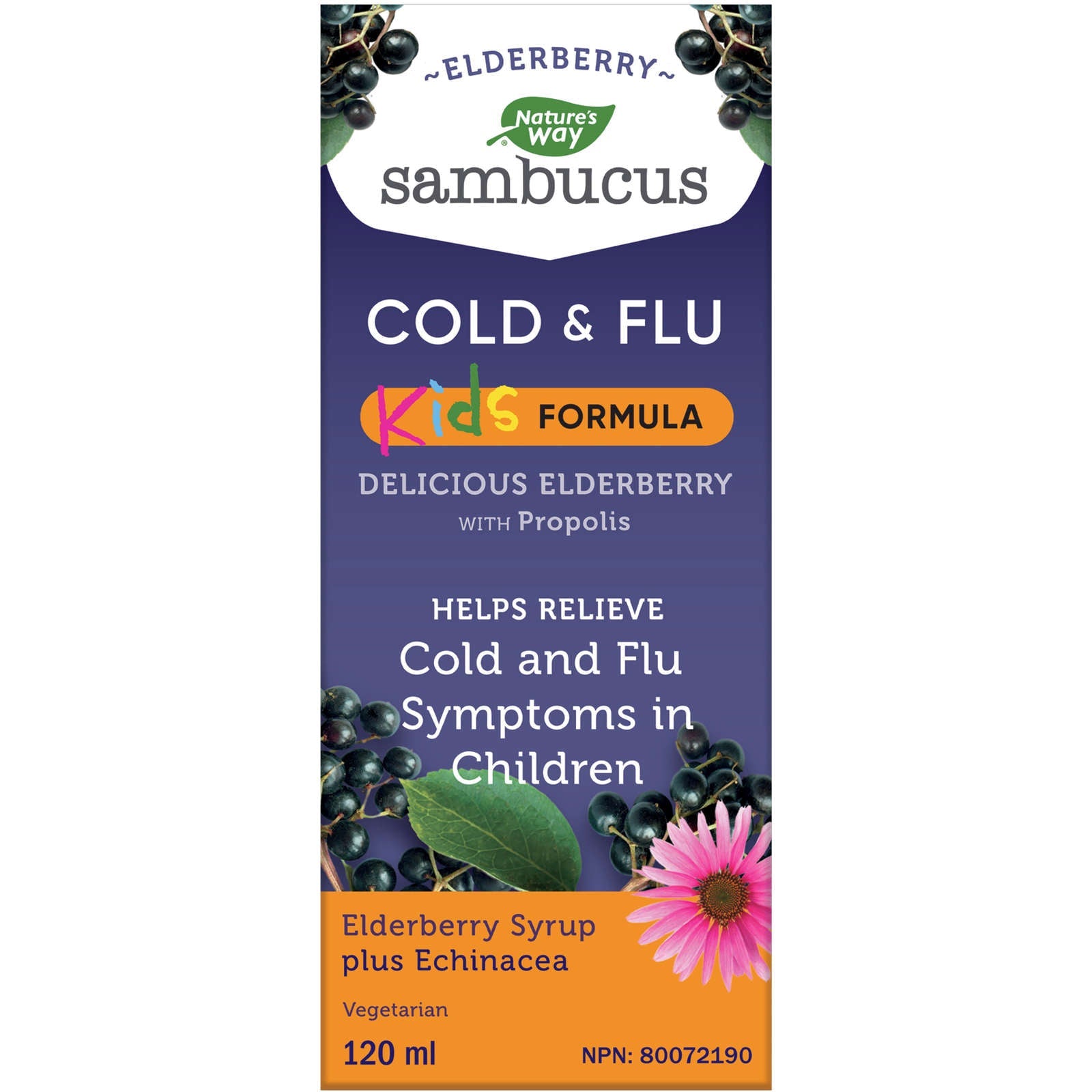 Sambucus Kids Cold and Flu Care, Syrup Berry Flavour, 120 ml