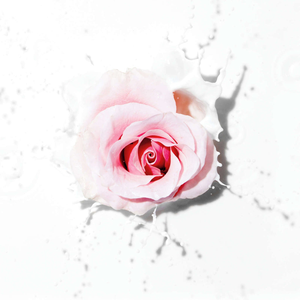 Pantene Nutrient Blends Miracle Moisture Boost Rose Water Shampoo for Dry Hair, Sulfate Free, 285 mL