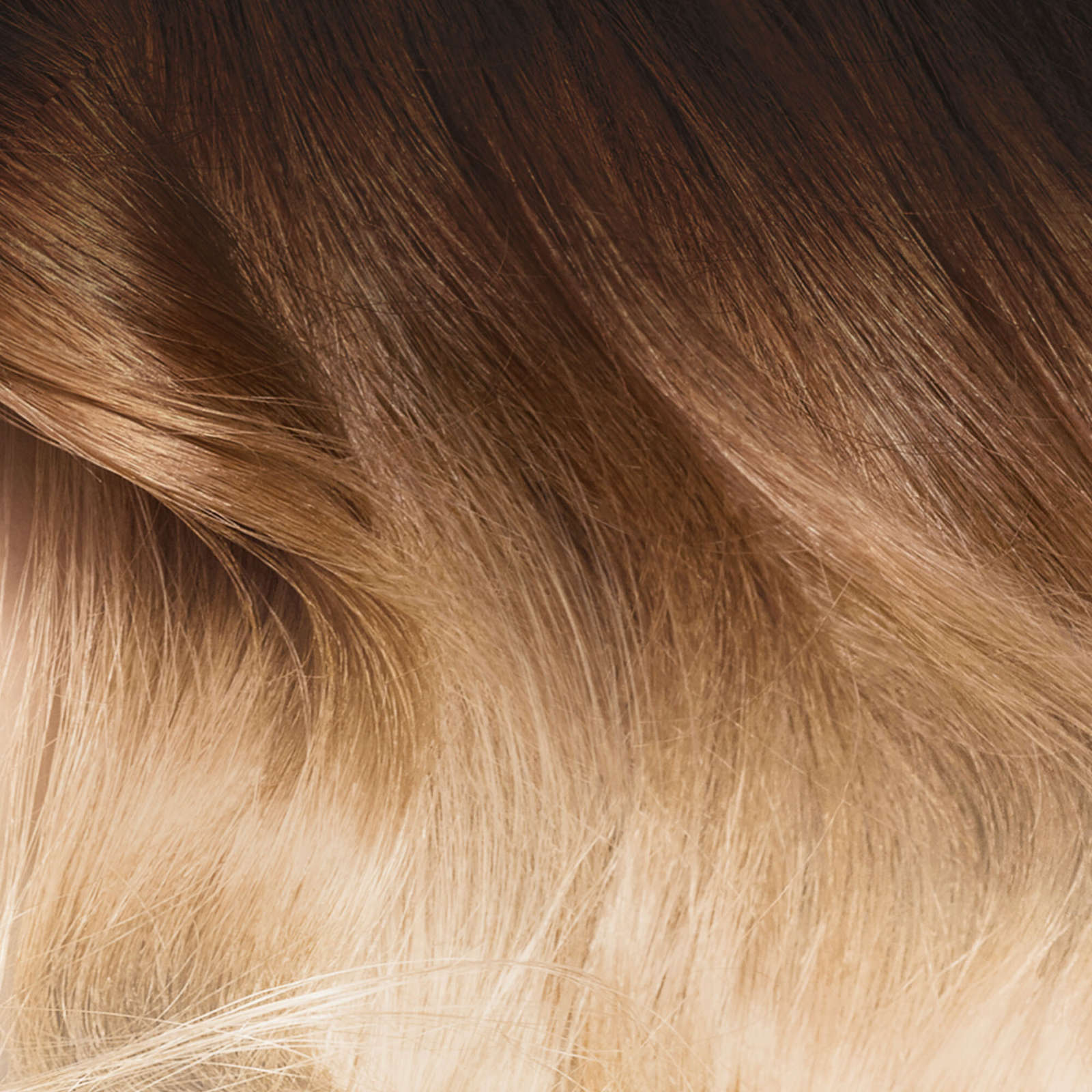 Colorista Hair Bleach Hair Color