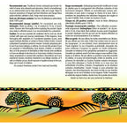 Tea Tree Oil 100% Pure