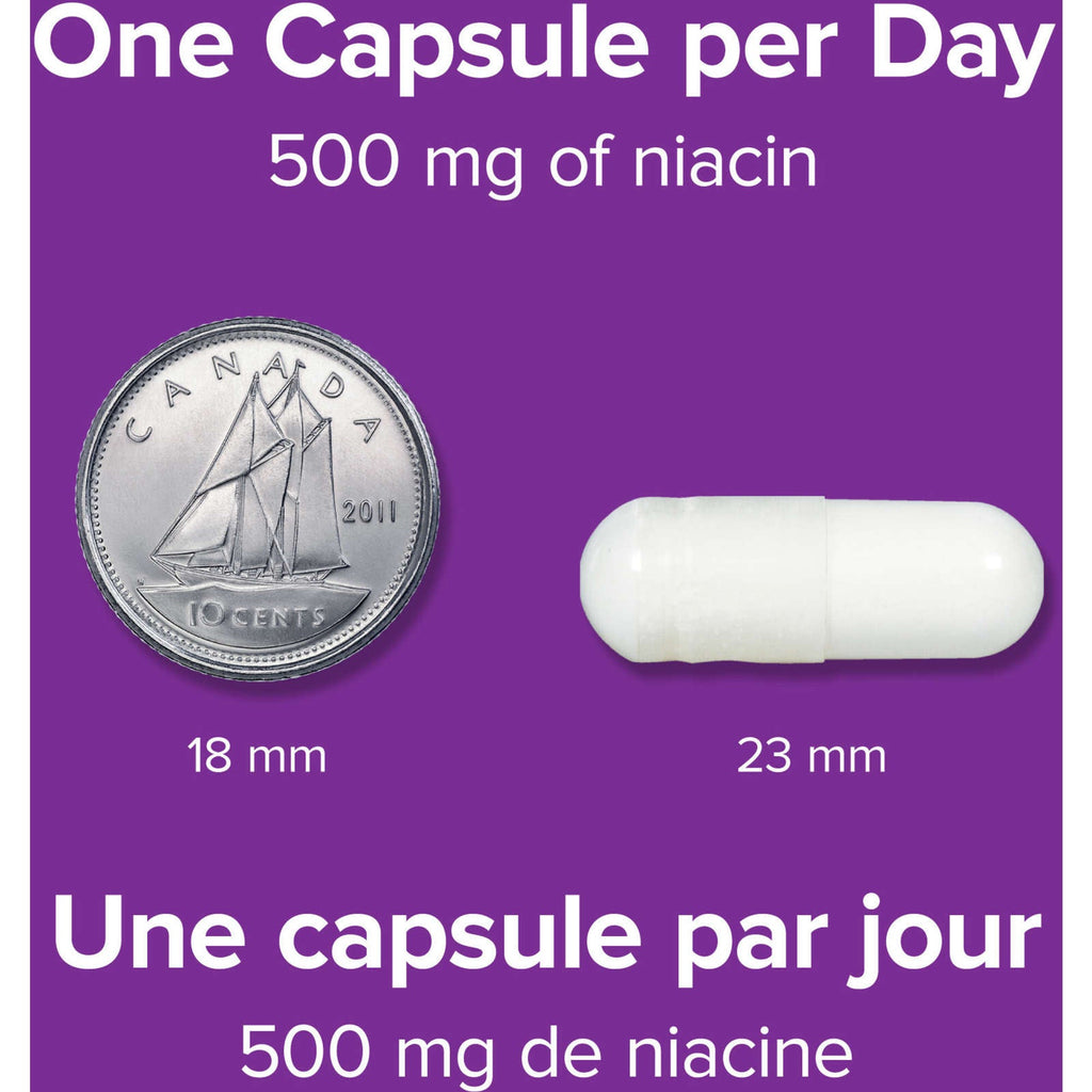 No Flush Niacin 500 mg