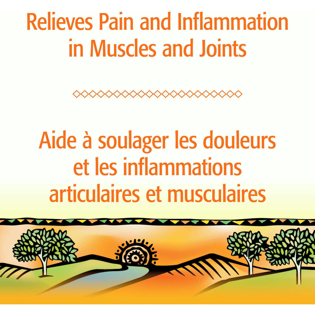 Arnica Muscle & Joint Gel