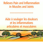Arnica Muscle & Joint Gel