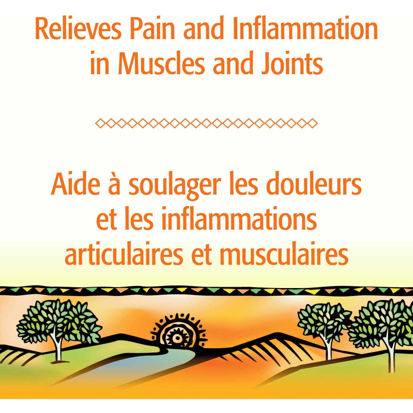 Arnica Muscle & Joint Gel
