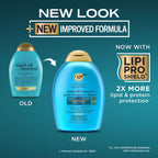 Renewing + Argan Oil of Morocco Shampoo